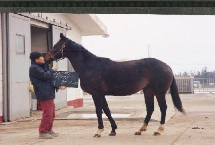 ����ƼŰƼ ����