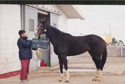 ���̱׵帮�� ����