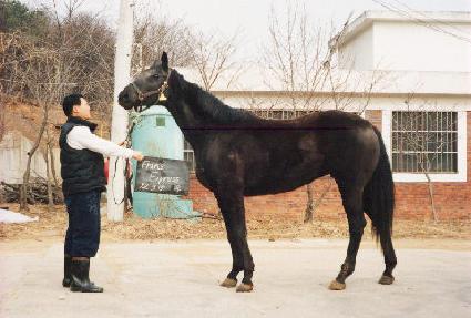 �������ͽ������� ����