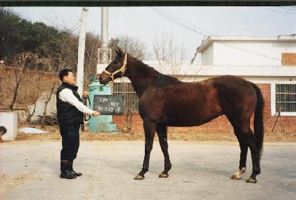 ���ڷ��̵� ����