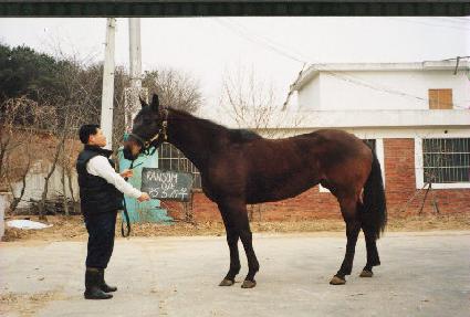 ������ ����