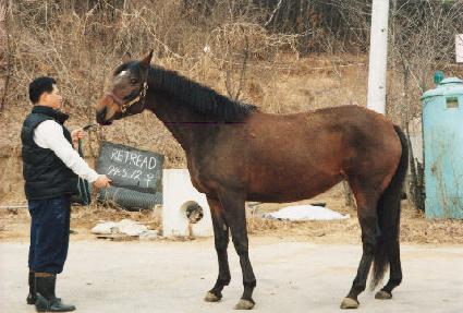 ��Ʈ���� ����