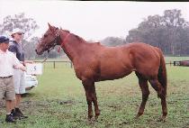 �̺�׼� (EVENING SONG) ����