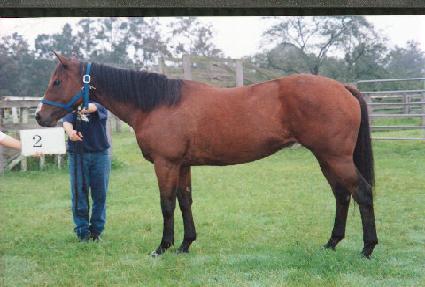 �̽����� ����