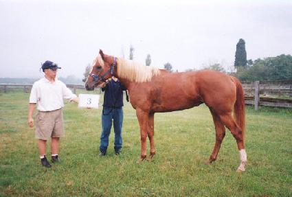 ��� ����