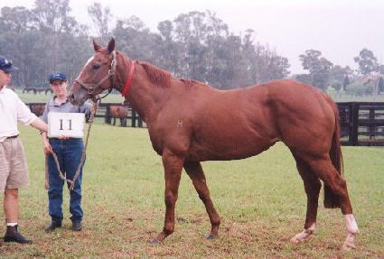 ���� ����