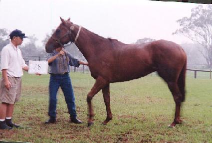 �������� ����