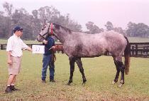 ������ (EUN-GONGJU) ����