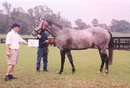 ������ ����