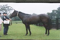 �󰡷� (HENGGAERE) ����