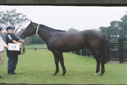 �󰡷� ����