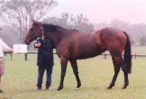 ������ġ (HIGH PITCH) ����