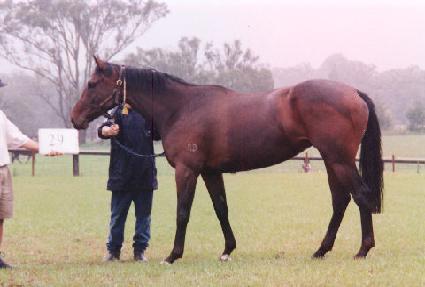 ������ġ ����