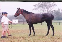 ���̳ʾ��� (MINOR THREAT) ����