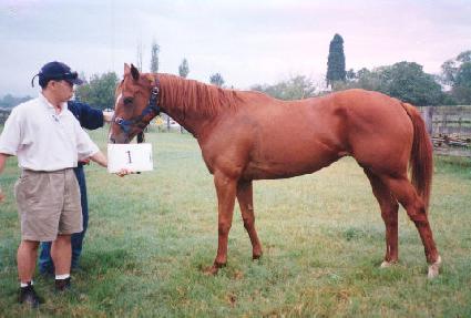 æƿ���ε� ����