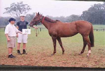 ���͵� ����