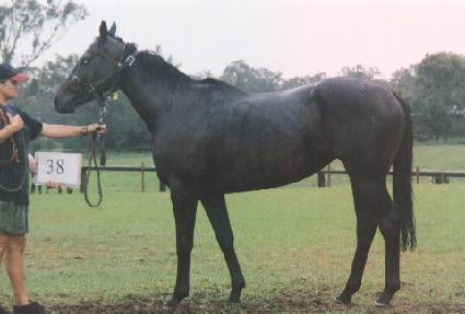 ����ũ���� ����