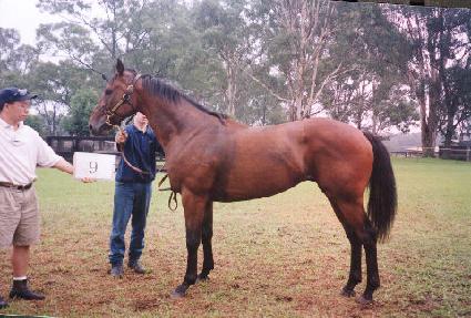 Ǯ�� ����