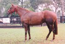 ������ (WILMINGTON) ����