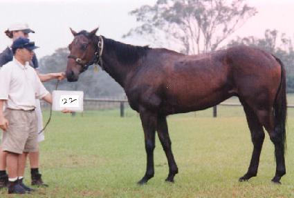 ���� ����