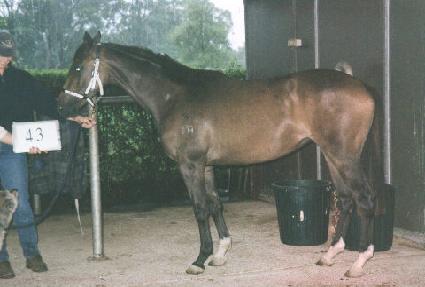 ���� ����