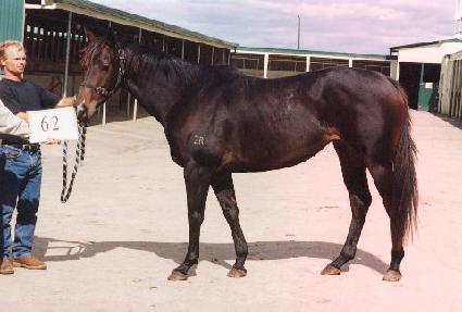 ������ ����