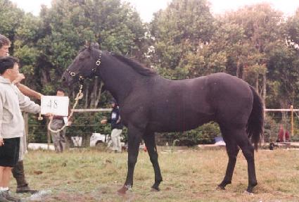 ��ǳ��� ����