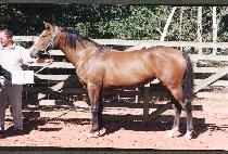 ���ɻ�� (PORYEONG SARANG) ����