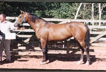 ���ɻ�� ����