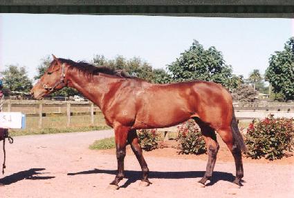 ���з� ����