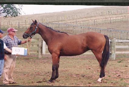 ��õ��� ����