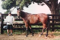 ū���� (K��EUNNARA) ����