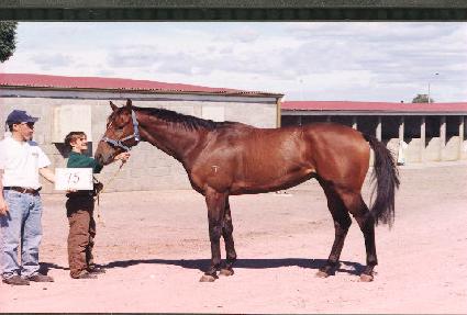 ���Ͷ��� ����