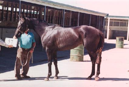 �ٳ������� ����