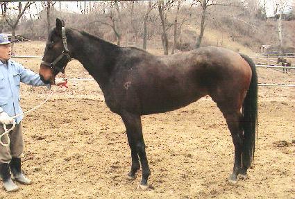 �Ѽ����� ����