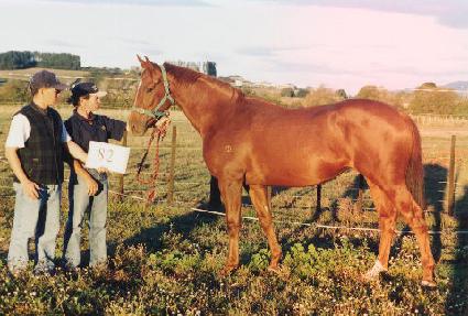 ���ֵ��� ����