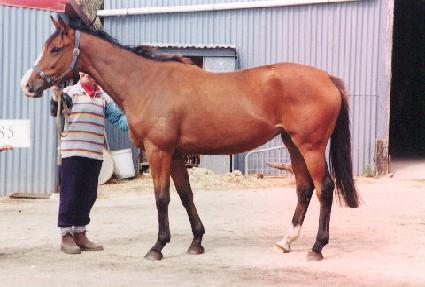 ������ ����