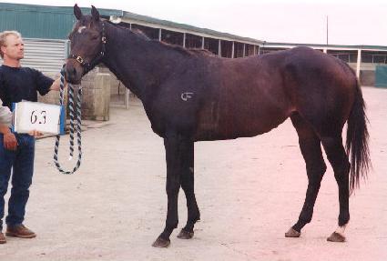 ����Ʈ�Ǵн� ����