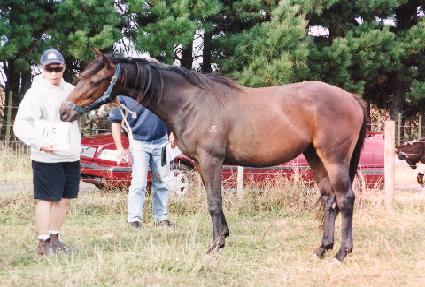 ����õ�� ����