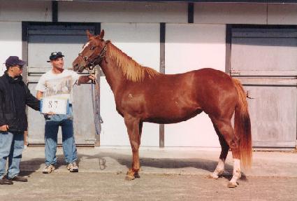 �ϴ��� ����