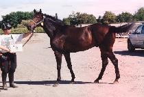 �������� (MUJEOK SEONEON) ����