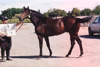 �������� ����