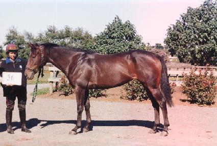 ���̿��� ����