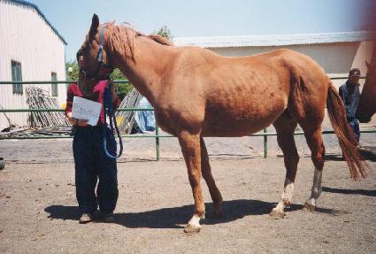 �÷��̾�ٿ� ����