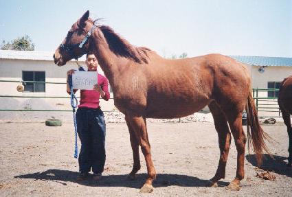 ����ȭ�̾� ����