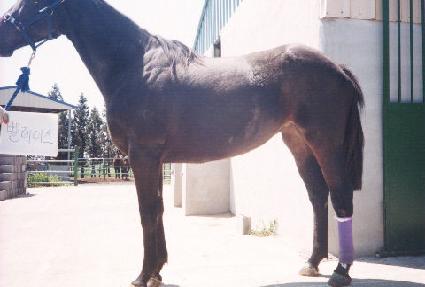 �����̽� ����