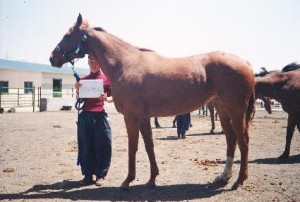 ��������Ʈ ����