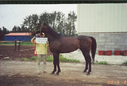 ������׸� ����