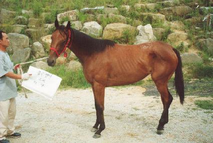 ������� ����