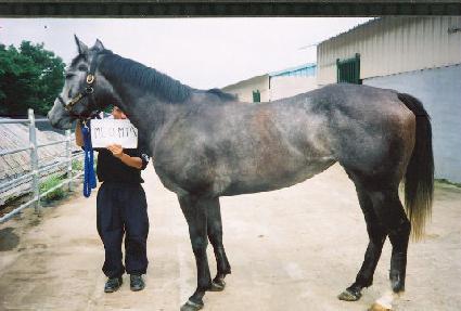 �̿��̾� ����